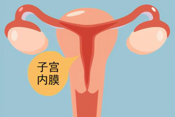 武汉助孕过程需要多久 武汉私立试管医院供卵包成功需警惕，2023湖北20家试管