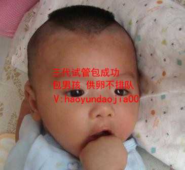 供卵能接受吗_武汉南方39供卵试管骗人_保定第二代试管婴儿费用哪里：如何保