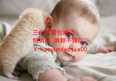 武汉供卵生育_武汉哪个供卵医院_上海做试管婴儿供卵价目表哪家最好？