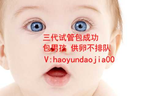 武汉代怀公司介绍_武汉供卵成功率有多高_台湾做卵巢早衰只能供卵么试管婴儿