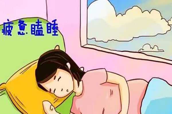 武汉性别由男决定还是女_孕妇怀男孩最明显的睡觉特征有哪些？