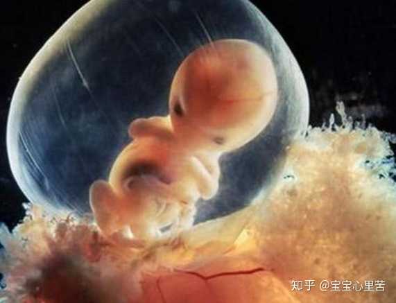 武汉在哪能找助孕师,武汉大学中南医院生殖中心做试管婴儿是怎么样收费的？